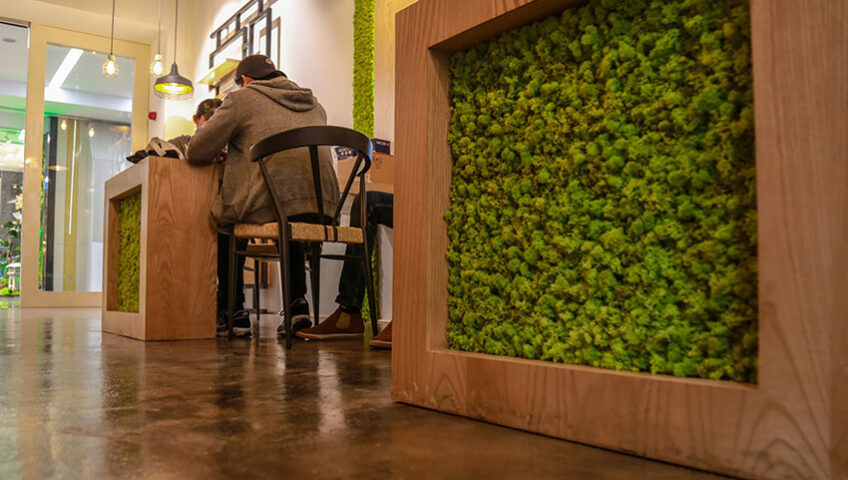 Green wall moss desgin project at table 10