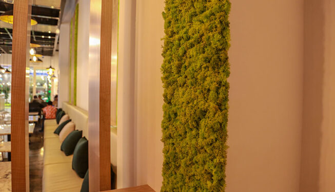 Green wall moss desgin project at table 10