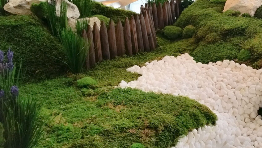 Preserved Indoor Landscape La Cigale Hotel