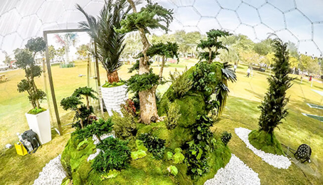 Preserved Indoor Landscape Project at Katara Flower Festival