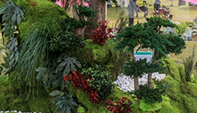 Preserved Indoor Landscape Project at Katara Flower Festival