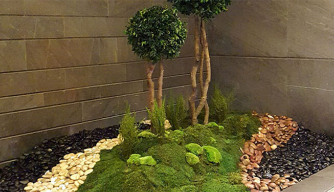 Preserved Indoor Landscape and Trees