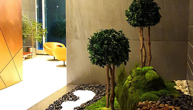 Preserved Indoor Landscape and Trees