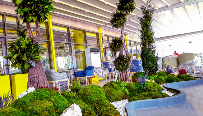 Preserved Indoor Landscape at Lemon Cafe