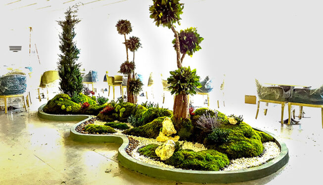 Preserved Indoor Landscape at Lemon Cafe