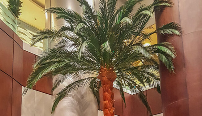 Preserved Trees Project at Ministry of Justice