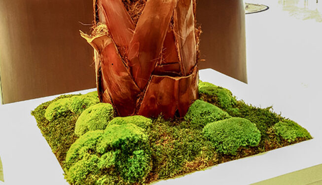 Preserved Trees Project at Ministry of Justice