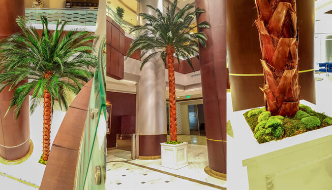 Preserved Trees Project at Ministry of Justice