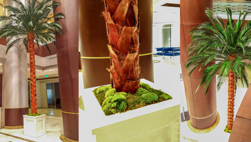 Preserved Trees Project at Ministry of Justice