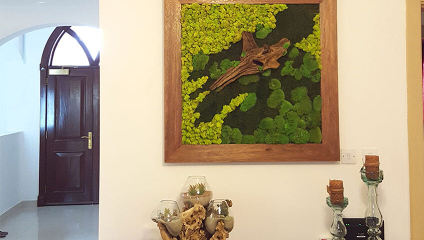 Home Greenwall projects