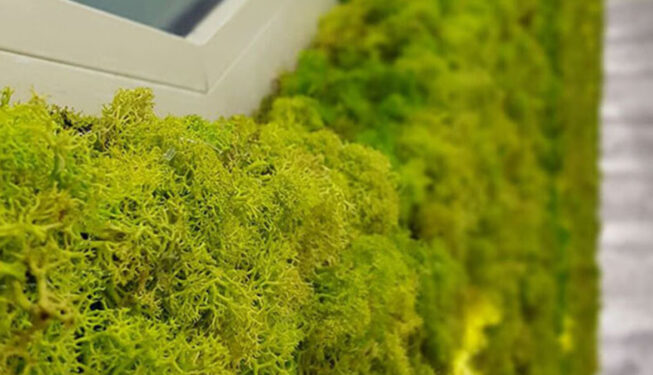greenwall-moss-project-arkatrading