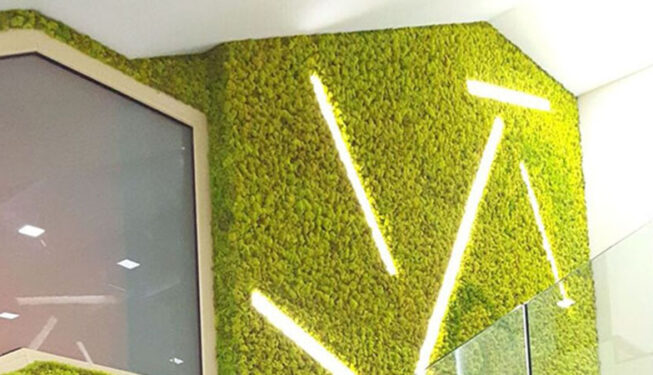 greenwall-moss-project-arkatrading
