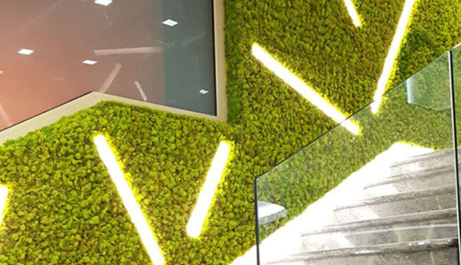 greenwall-moss-project-arkatrading