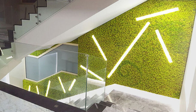 greenwall-moss-project-arkatrading