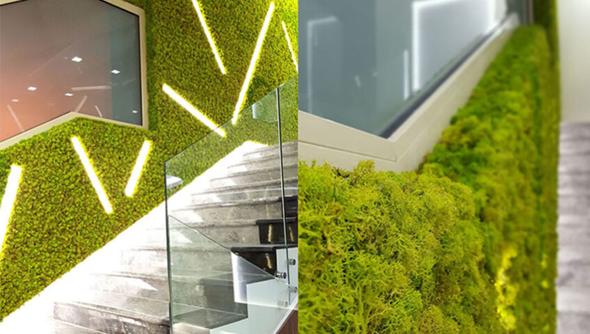 greenwall-moss-project-arkatrading