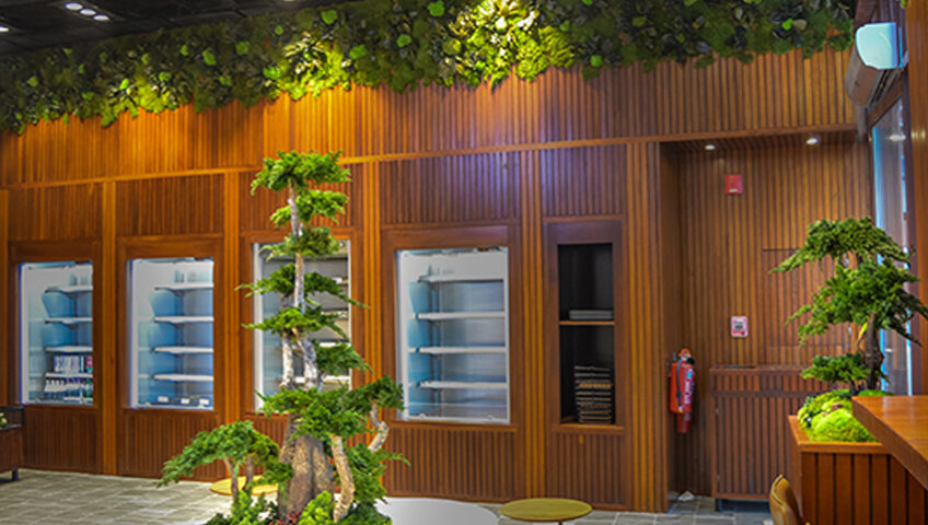 graze-cafe-indoorlandscape-greenwall