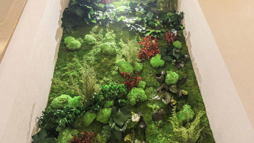 Indoor Greenwall Design Project Katara Hospitality