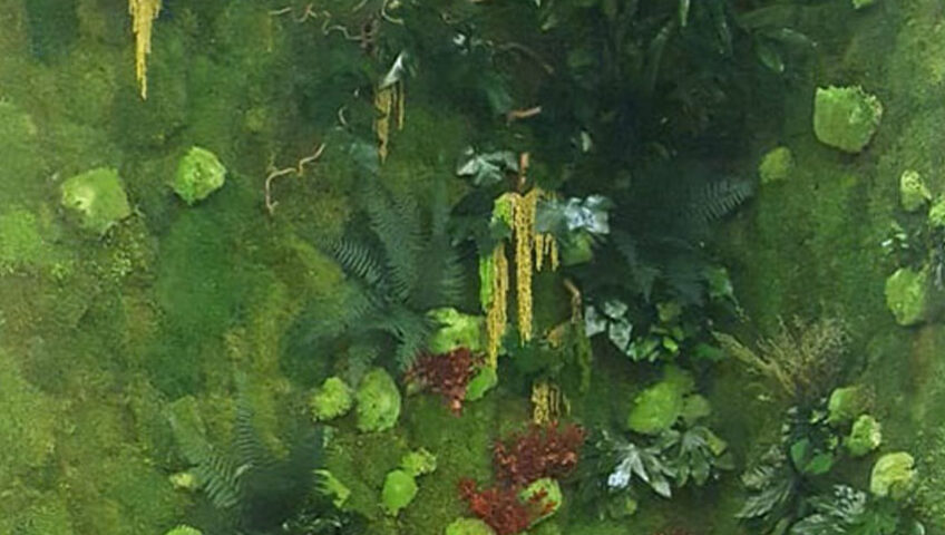 Preserved Green wall design at Valence Trading
