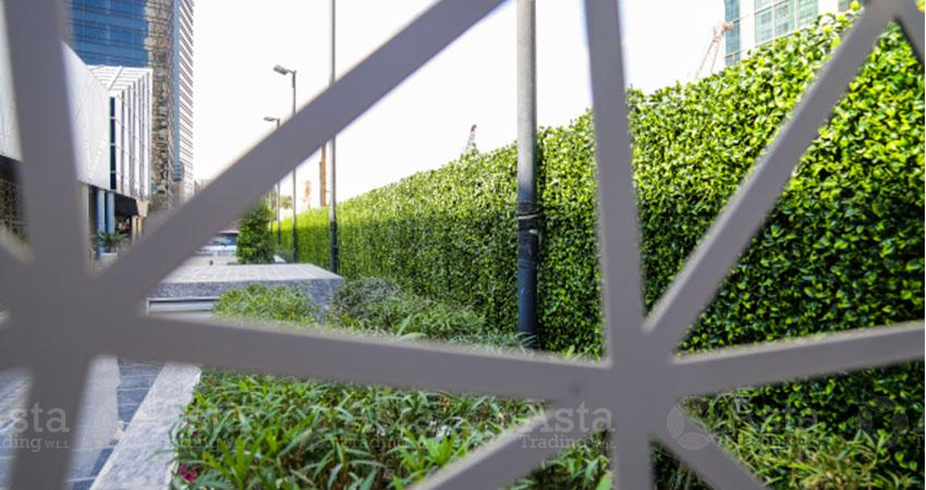 intercontinental_artificial-greenwall