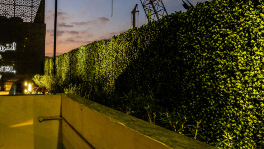 artificial-greenwall-astatrading