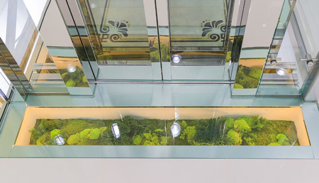 Preserved Indoor Landscape Project at Mamoura Lift
