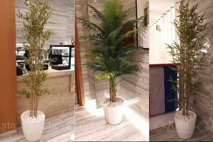 Artificial Plants Qatar