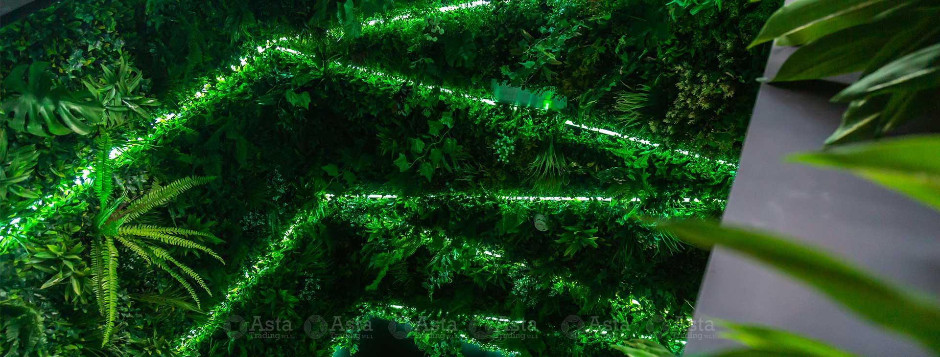 Green Wall Design Ideas fro Asta Trading Qatar