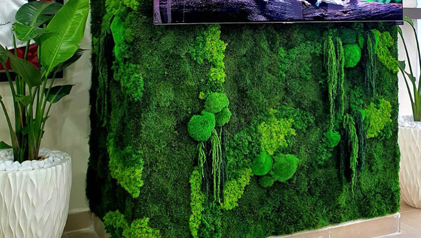 Preserved Green Wall Project Asta Trading Qatar