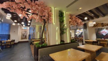 How a Space Tells Its Story Without Words