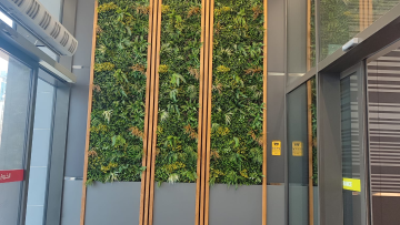 Beyond the Villa: How Biophilic Design is Redefining Luxury Living in Qatar