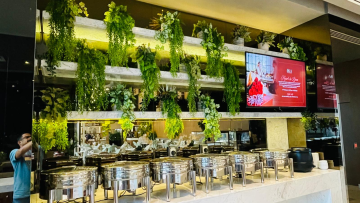 Preserved vs. Artificial vs. Live Green Walls: Which One is Right for Your Space in Qatar?