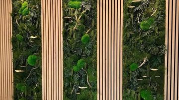 Spring Interior Design Ideas: How Preserved Green Walls Bring Nature Indoors in Qatar