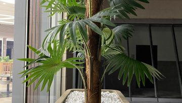 Realistic Artificial Plants in Qatar: How to Choose High-End Faux Greenery