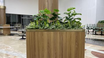 Can You Tell These Plants Are Artificial?